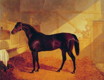 約翰 弗雷德裡尅 赫爾林 Mr Johnstone's Charles in a Stable